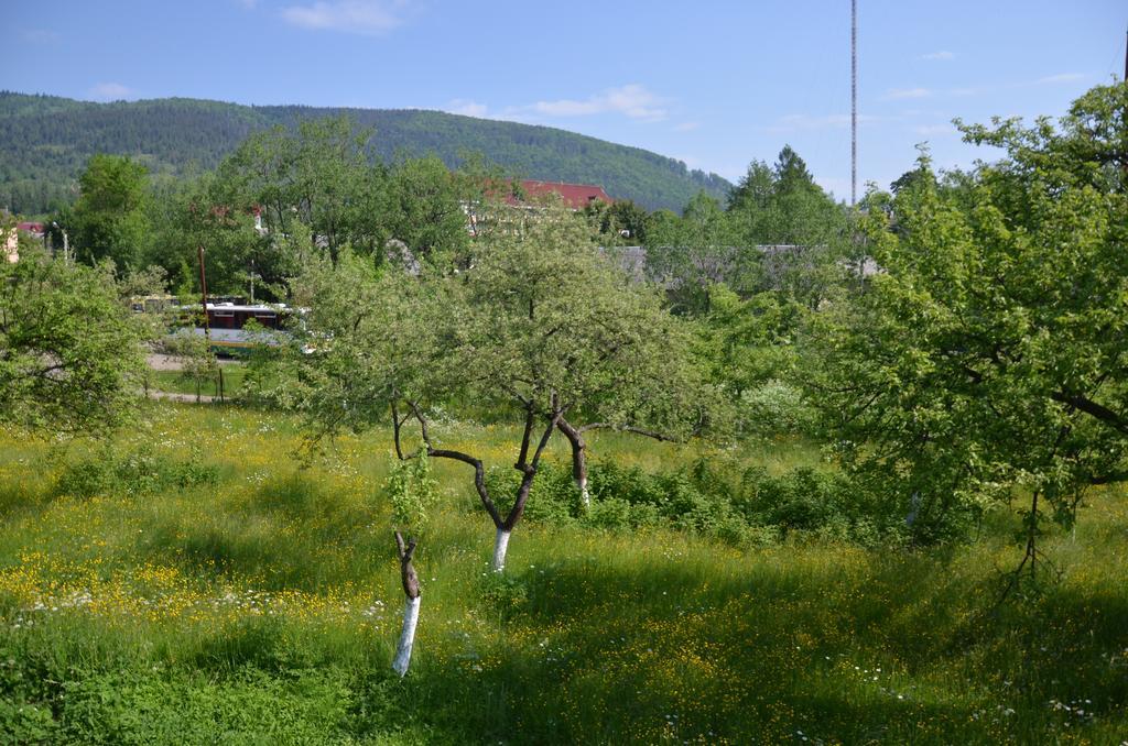 Rosinka Apartment Yaremche Exterior photo